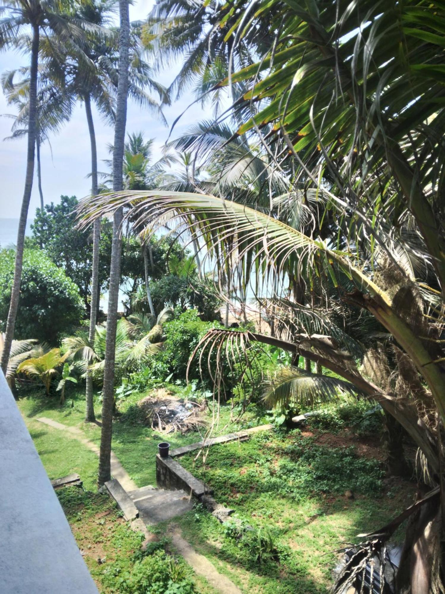 Sunray Rest - Beach View Homestay Mirissa Bagian luar foto