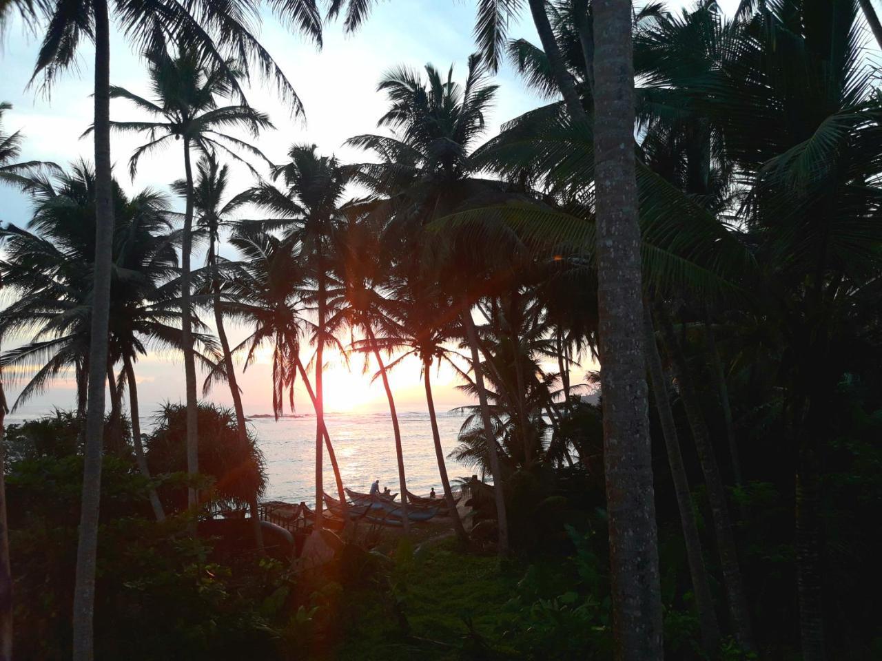 Sunray Rest - Beach View Homestay Mirissa Bagian luar foto